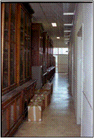 Immagine che contiene interno, pavimento, muro, navata  Descrizione generata automaticamente