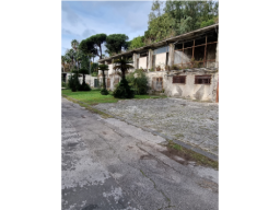 Il sito